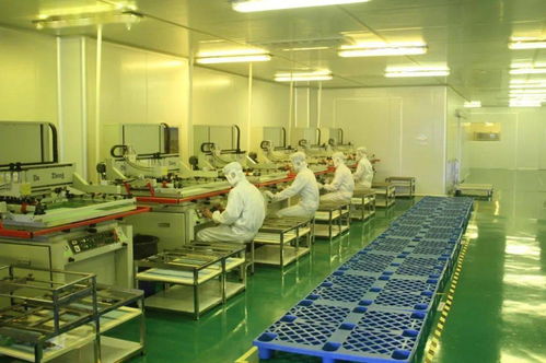 中共湛江市委十一屆十次全會工作報告要點 深化人力資源服務，規范職業中介活動，賦能高質量發展